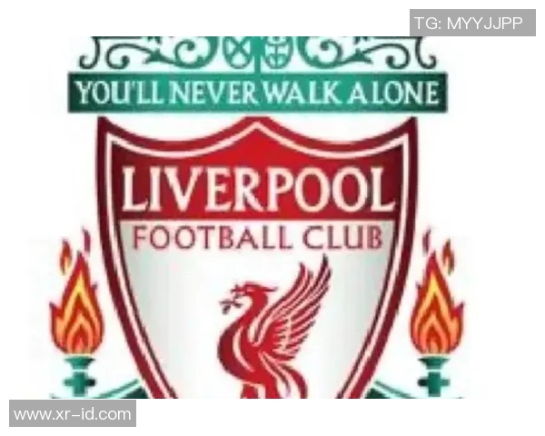 全球十大足球俱乐部的辉煌历史与未来展望解析